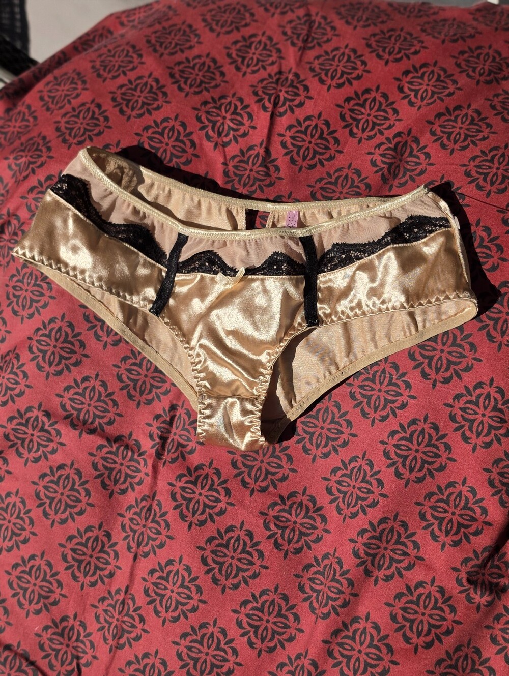 Beige Satin Lace Bikini Panty - Women Intimates L